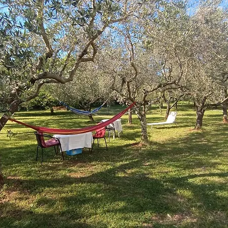 Gabriela Lägenhet *